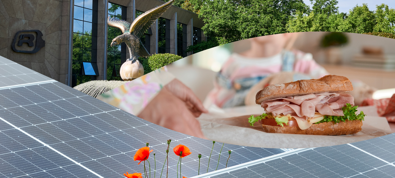 Abbiamo pubblicato il Report di Sostenibilità 2024